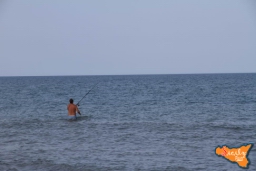 Gara di pesca 20161303.jpg